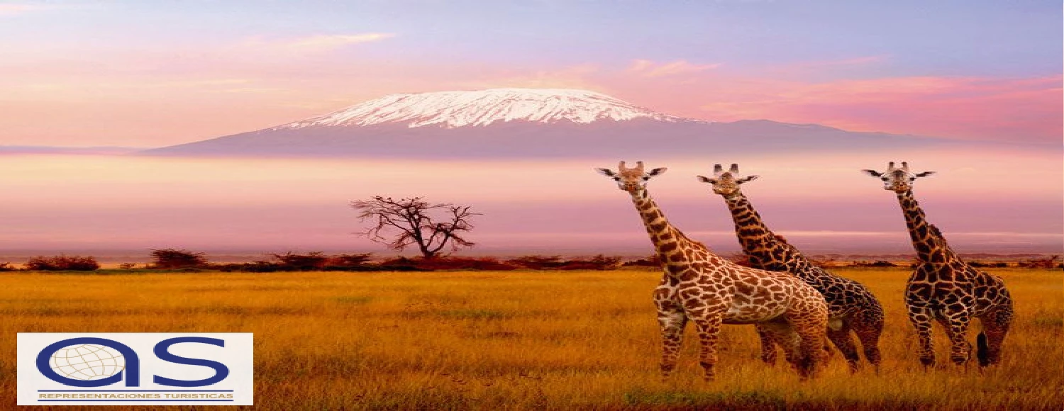 AS Representaciones Turísticas banner para pc 2