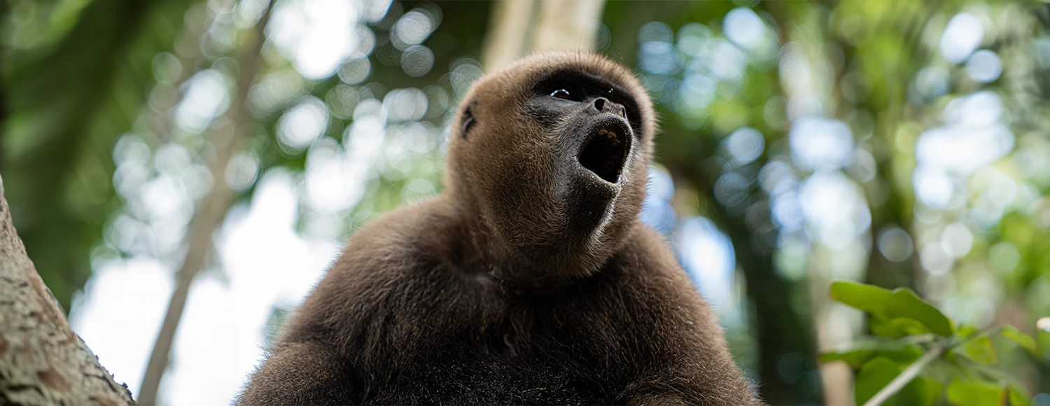 Awake.Travel banner para pc 2