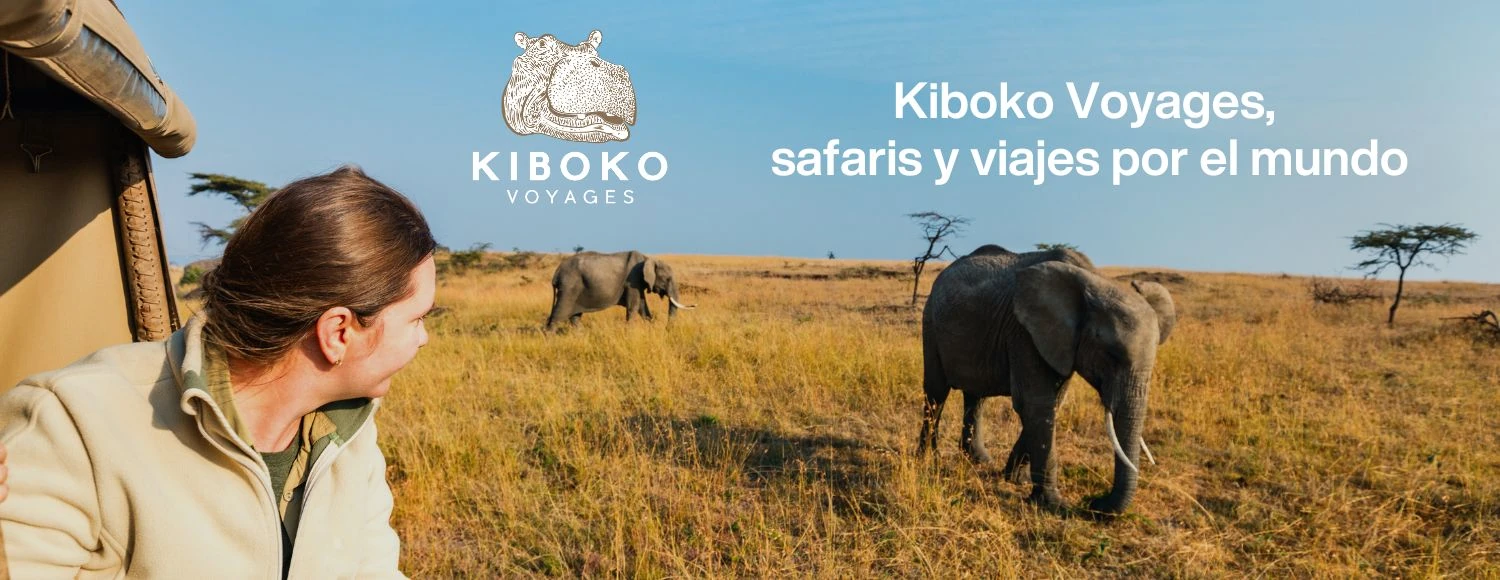 Banner pc Kiboko Voyages 2