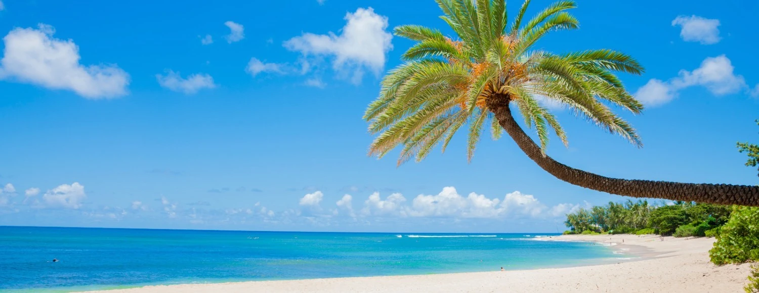 Luz verde representaciones S.A.S banner de pc