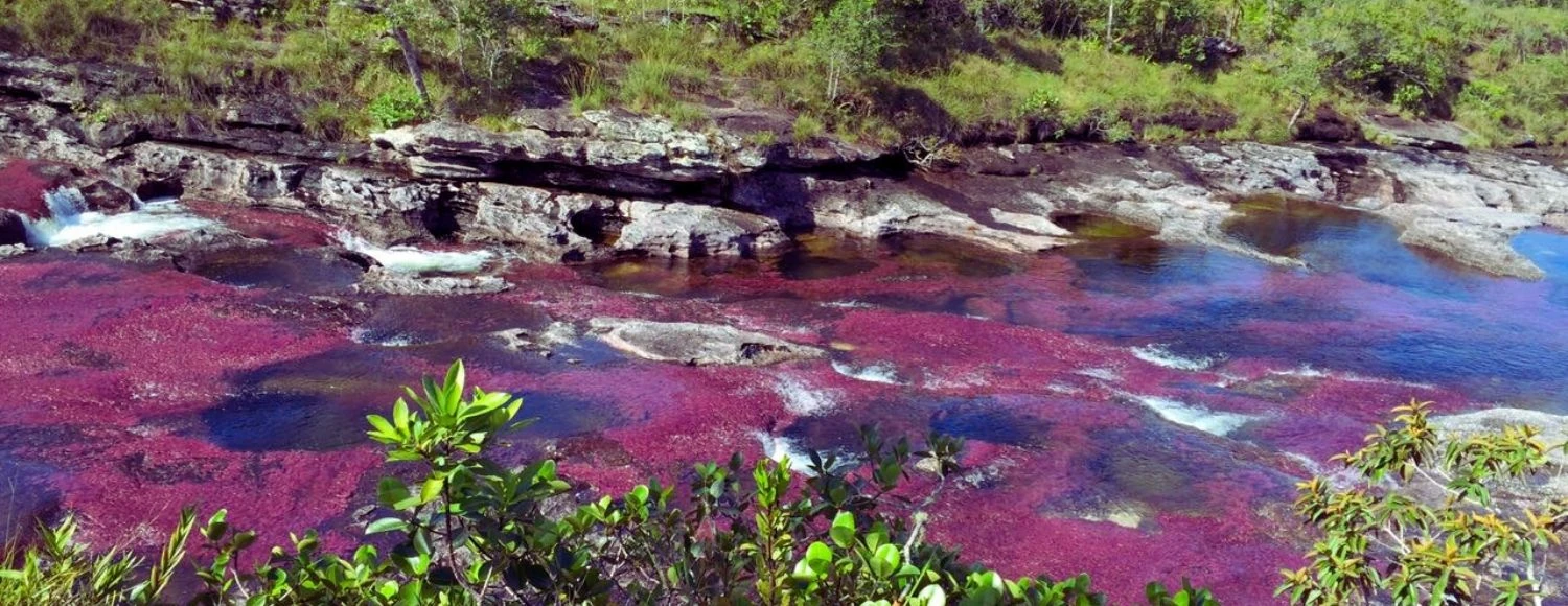 Operama Travel banner para pc 2