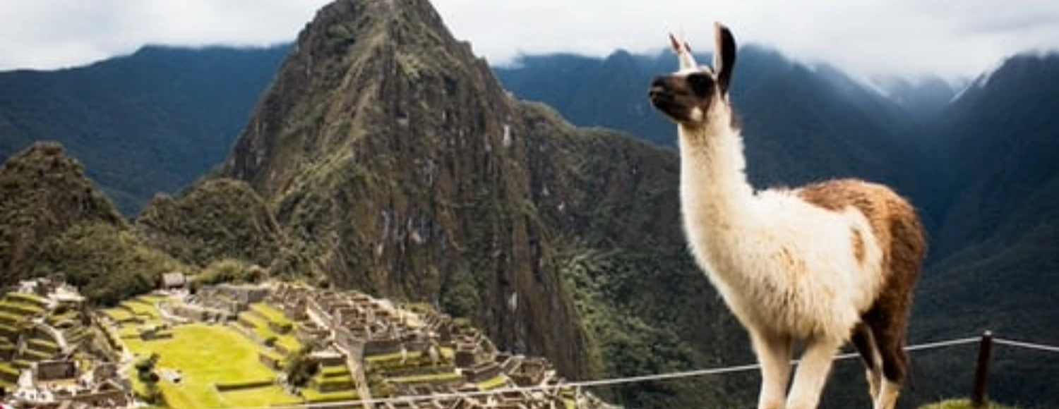 Primera Clase SAS banner para pc