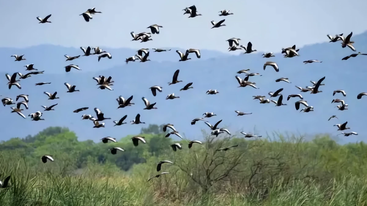 5 destinos turísticos colombianos no tradicionales para esta Semana Santa, según ANATO